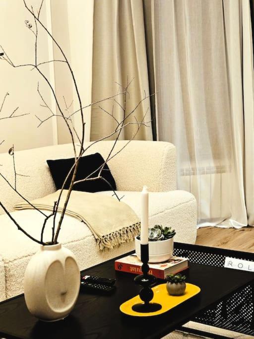 Dorcol-manhattan 90m2 Appartamento Belgrado