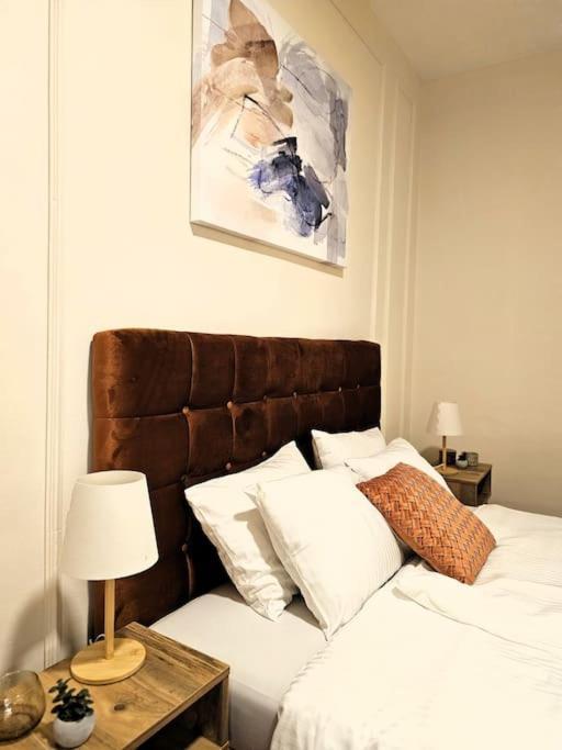 Appartamento Dorcol-manhattan 90m2 Belgrado